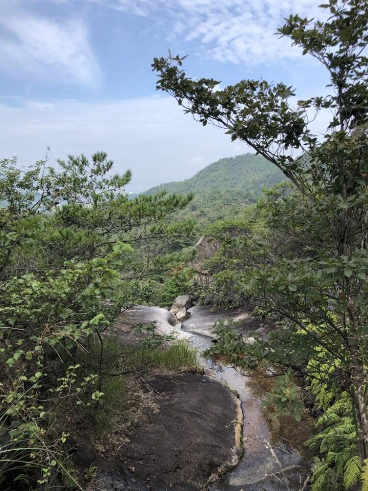 小さな川と金勝山