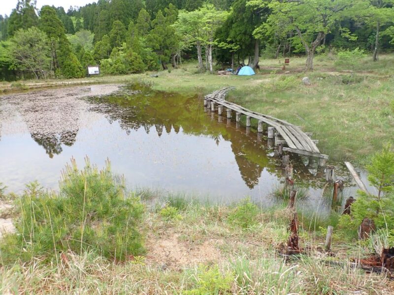 八雲湿原の朽ちた渡場