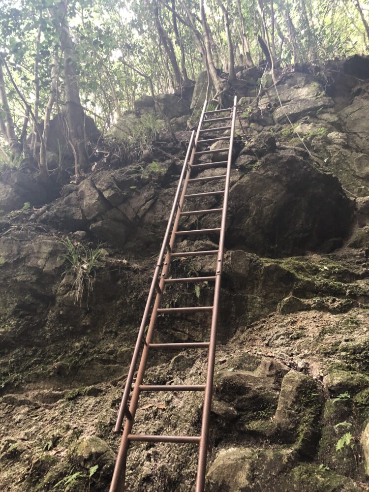 中道登山道　4mの梯子道